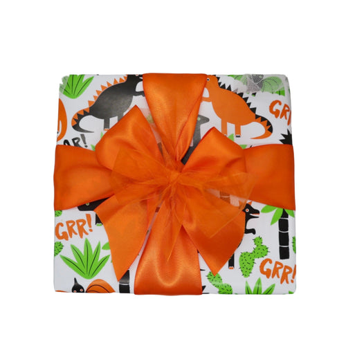 Dinosaur Gift Wrap & Box