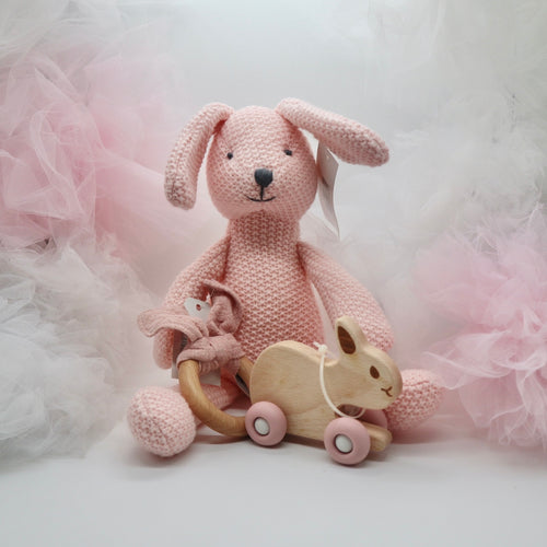 Baby Bunny Gift Box