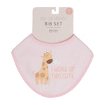 Baby Bib 2 piece - Pink Giraffe