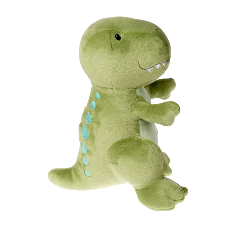 Baby Dino Gift Box